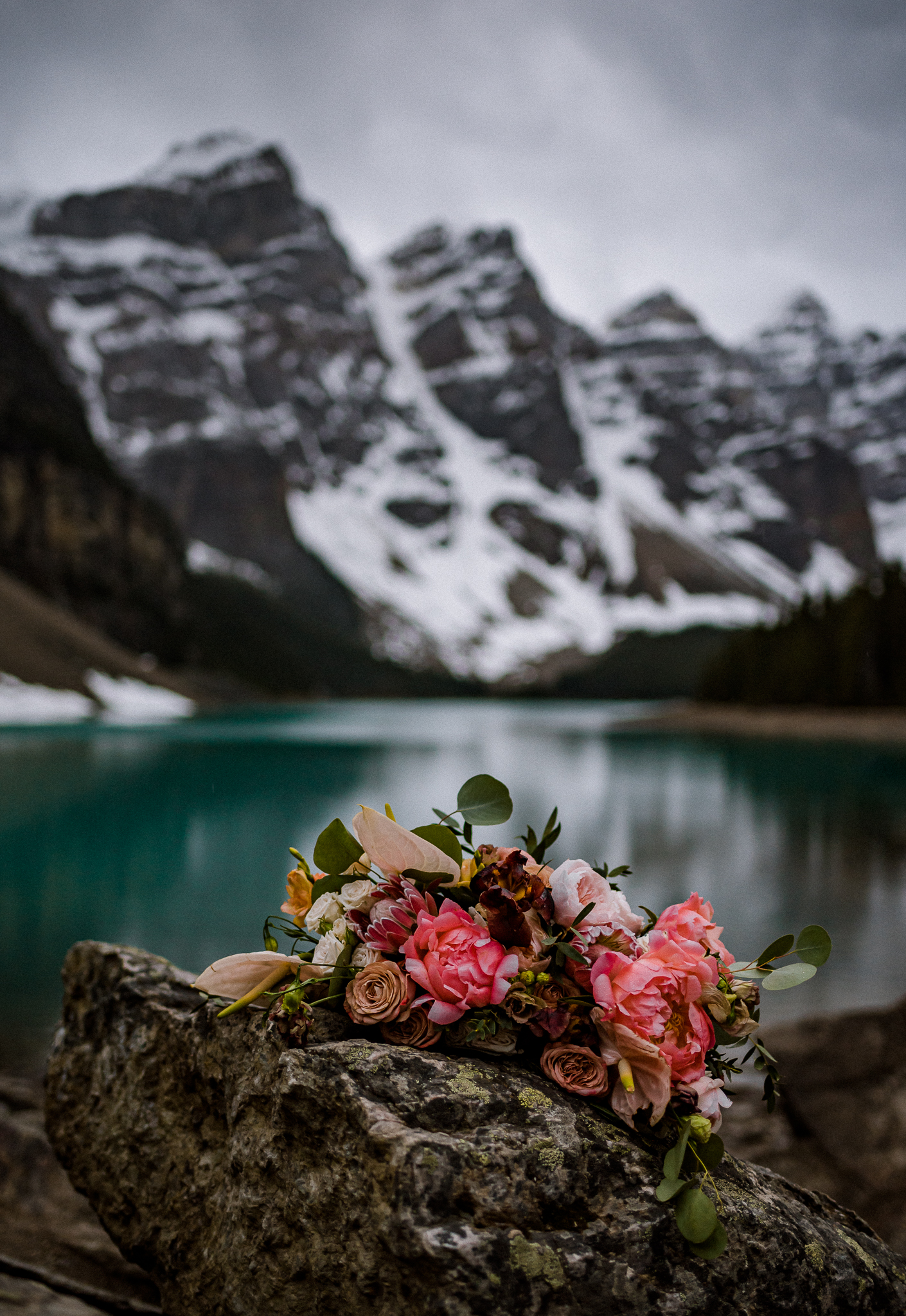Colourful bouquet sat on rock at Moraine Lake, Alberta